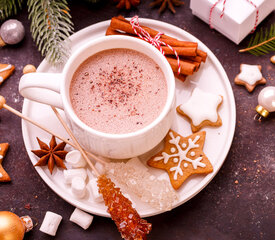 Easy Hot Chocolate Mix