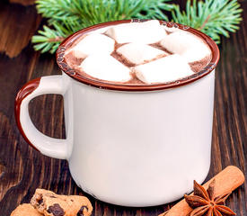 Hot Chocolate Milk