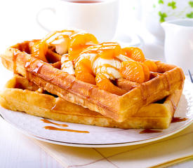 Super Delish Raised Waffles