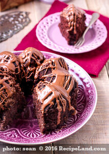 Cocoa Bundt Cake with Chocolate Glaze