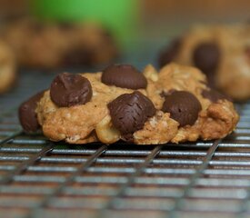 Low Fat and Low Calorie Oatmeal Chocolate Chip Cookies