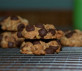 Low Fat and Low Calorie Oatmeal Chocolate Chip Cookies