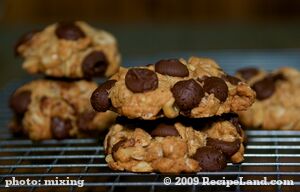 Low Fat and Low Calorie Oatmeal Chocolate Chip Cookies