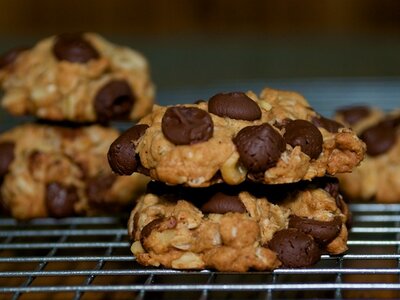 Low Fat and Low Calorie Oatmeal Chocolate Chip Cookies