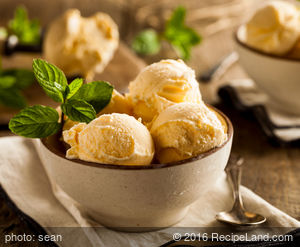 French Style Ice Cream ** recipe
