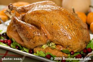 Herbed Turkey and Dressing recipe