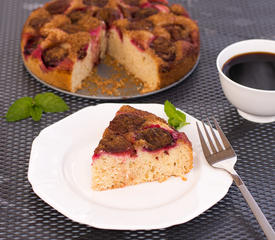 Grandma's Best Plum Cake