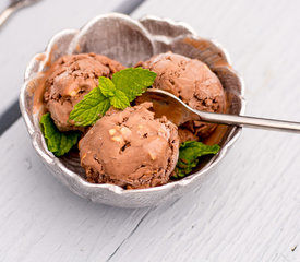 Superb Chocolate Hazelnut Ice Cream