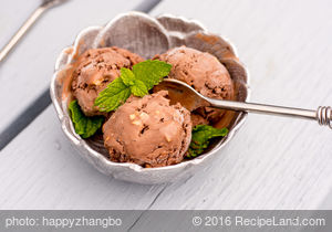 Superb Chocolate Hazelnut Ice Cream recipe