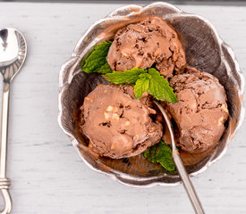 Superb Chocolate Hazelnut Ice Cream