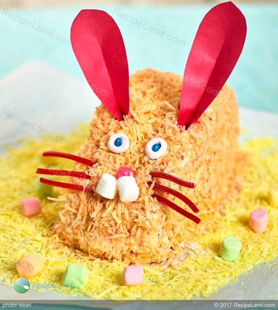 Easter Bunny Cake — Wild Rose Cakes