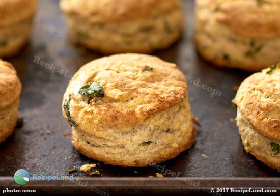 Flaky light as a feather basil parmesan scones - fresh out of the oven