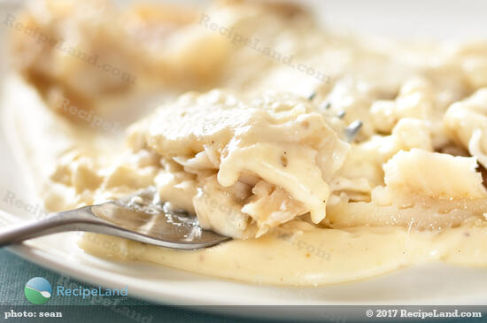 Close-up of a forkful of flaky New England Creamd Cod