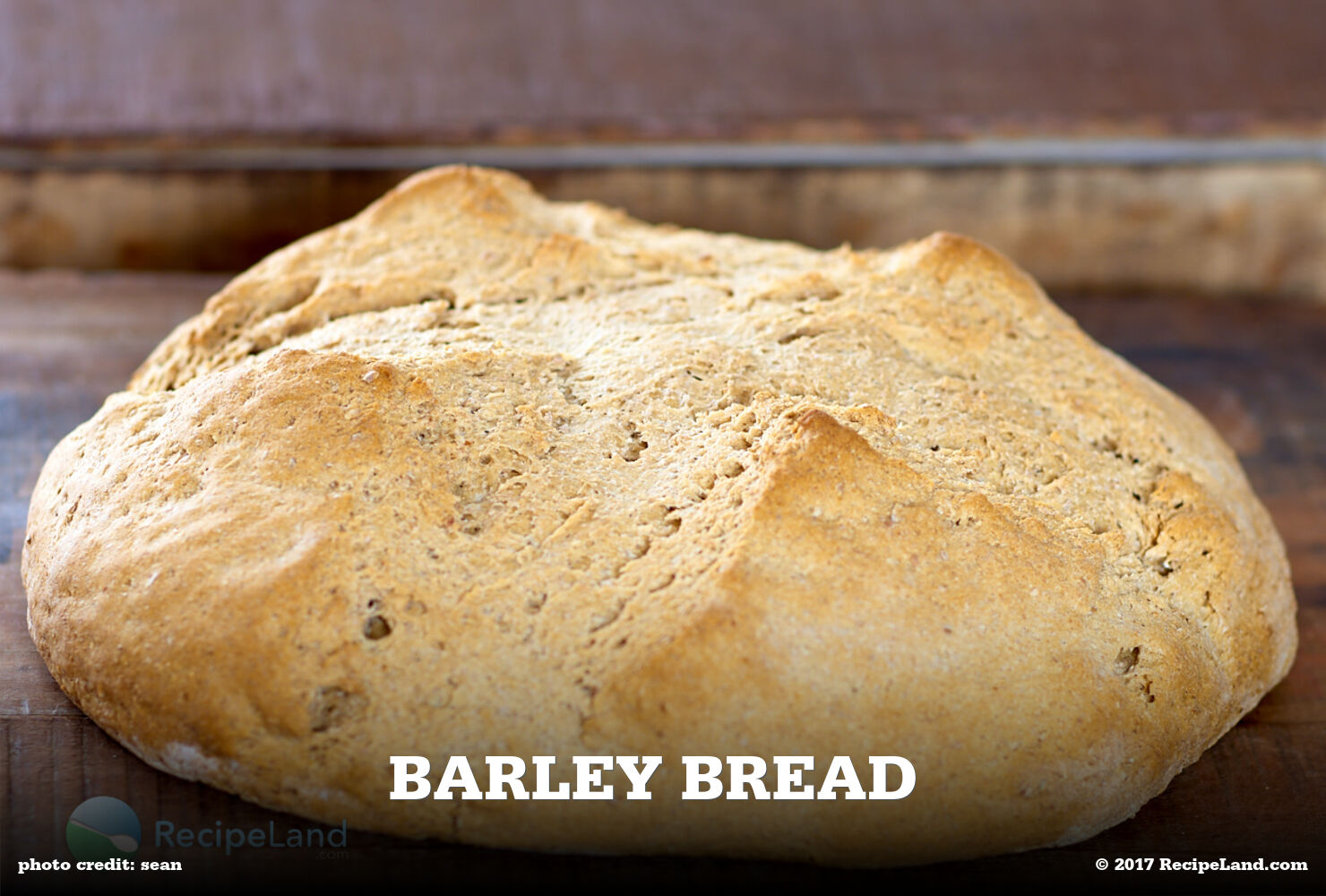 Barley Bread