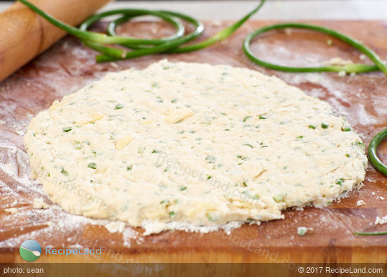 Garlic scape biscuit dough rolled out to ½ inch thickness, ready for cutting into biscuits