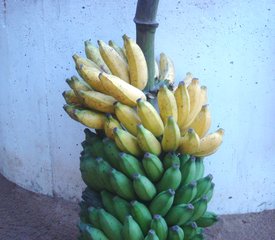 Homemade Raw Banana Chips