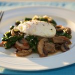 Poached Eggs over Spinach & Mushrooms