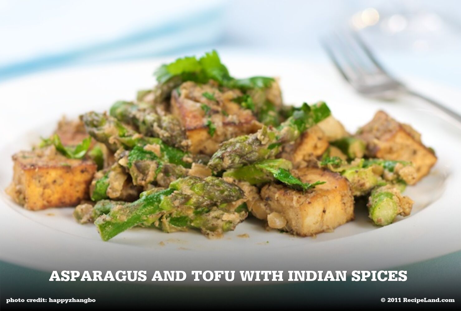 Asparagus and Tofu with Indian Spices