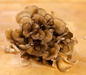 Maitake Mushroom Soup