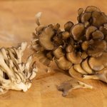 Maitake (Hen of the Woods) Mushrooms