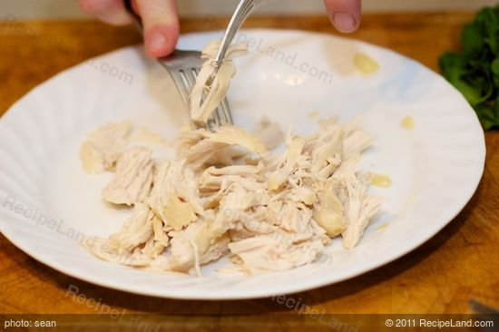 Shred the breast meat with two forks
