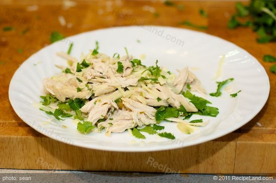 Mix 1/2 the cheese and cilantro with the shredded chicken