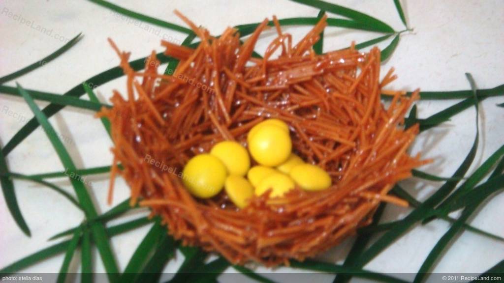 Homemade Noodles Bird’s Nest Recipe