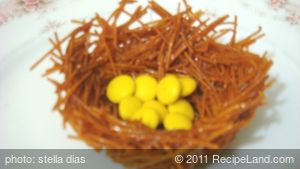 Homemade Noodles Bird’s Nest