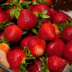 Meanwhile prepare the strawberry and rhubarb filling...