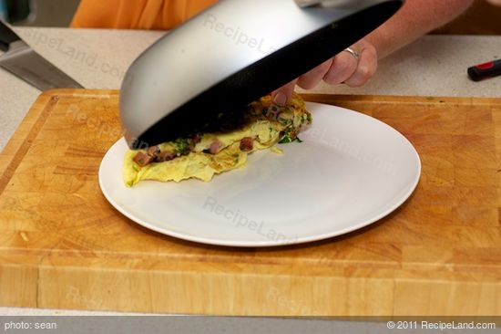 Invert and fold the omelette, rolling onto the plate