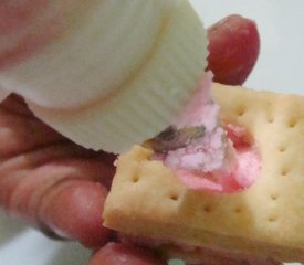 Homemade Sweet Crackers