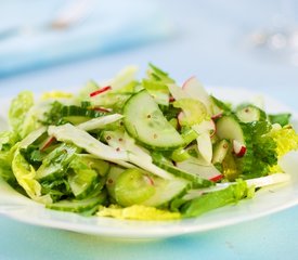 Celery, Cucumber, Fennel and Radish Salad with Vinaigrette