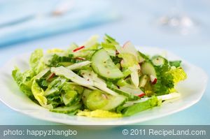 Celery, Cucumber, Fennel and Radish Salad with Vinaigrette