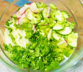 Celery, Cucumber, Fennel and Radish Salad with Vinaigrette