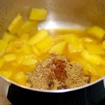 Add the spices into the mango sauce that has been simmering for about 10 minutes...