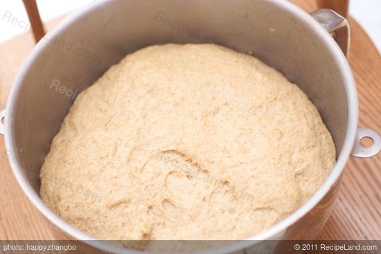 Place in an oiled bowl; turning once to coat top of dough. Cover; let rise until double in bulk (about 45 minutes).