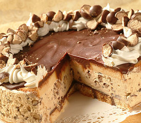 Frozen Chocolate Cappuccino Crunch Cake