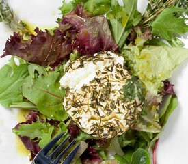 Warm Chévre and Apple Rings with Manitoba Hemp Seed Oil Vinaigrette