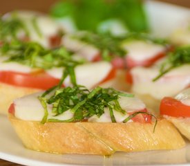 Buffallo Mozzarella Tomato Basil Appetizers