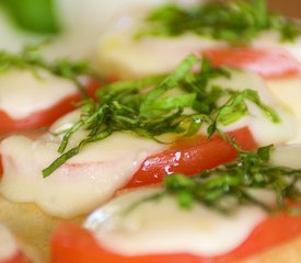 Buffallo Mozzarella Tomato Basil Appetizers