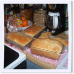 Holiday Polish White Bread