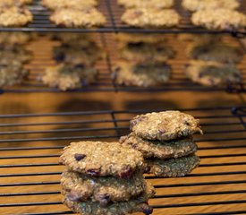 Chocolate Chip Pumpkin Cookies