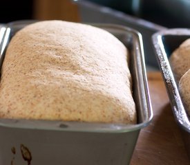 Perfect Whole Wheat Sandwich Bread