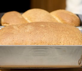 Perfect Whole Wheat Sandwich Bread