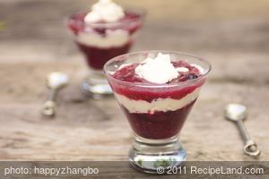 Gingery Blueberry and Rhubarb Fool recipe