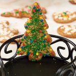 Alsatian Christmas Cookies