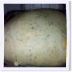 Garlic Cheese Italian Herb Bread for the Bread Maker