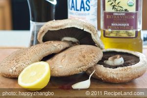 Grilled Marinated Portobello Mushroom Burgers recipe