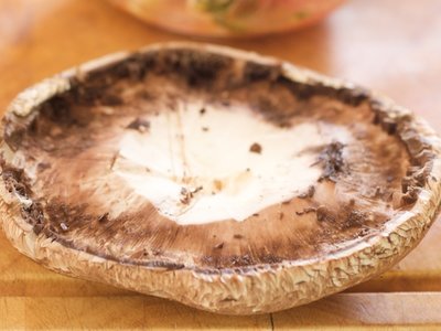 Grilled Portobello Mushrooms with Bruschetta and Mozzarella 