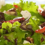 Mixed Green Salad with Honey Pecans, Goat Cheese and Balsamic Vinaigrette